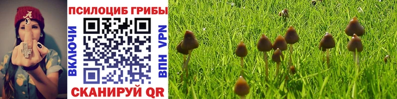 Галлюциногенные грибы Psilocybe  Купить закладки  Рославль 